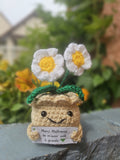 Les Marguerites