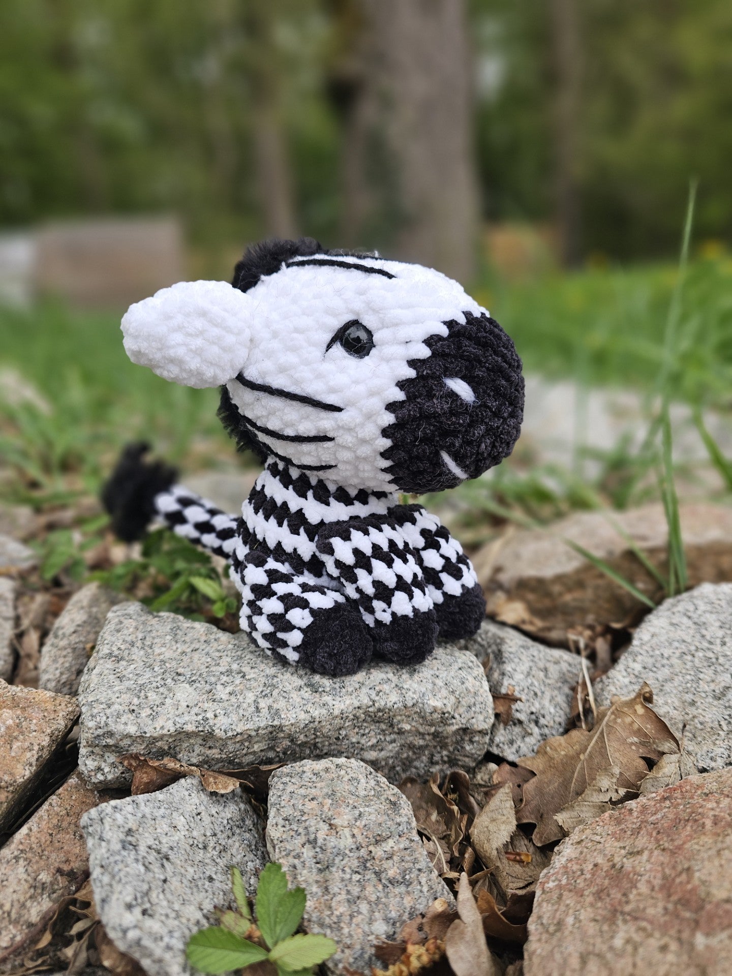 Ziggy le petit Zèbre