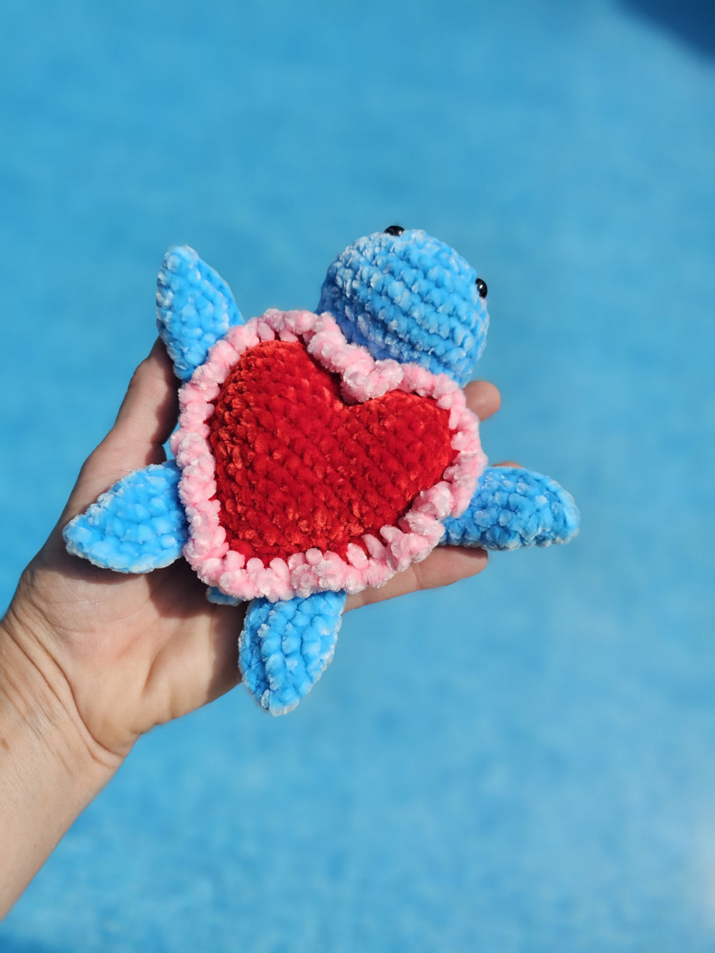 Lulu, la tortue