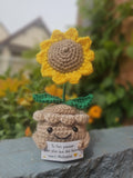 Le Tournesol
