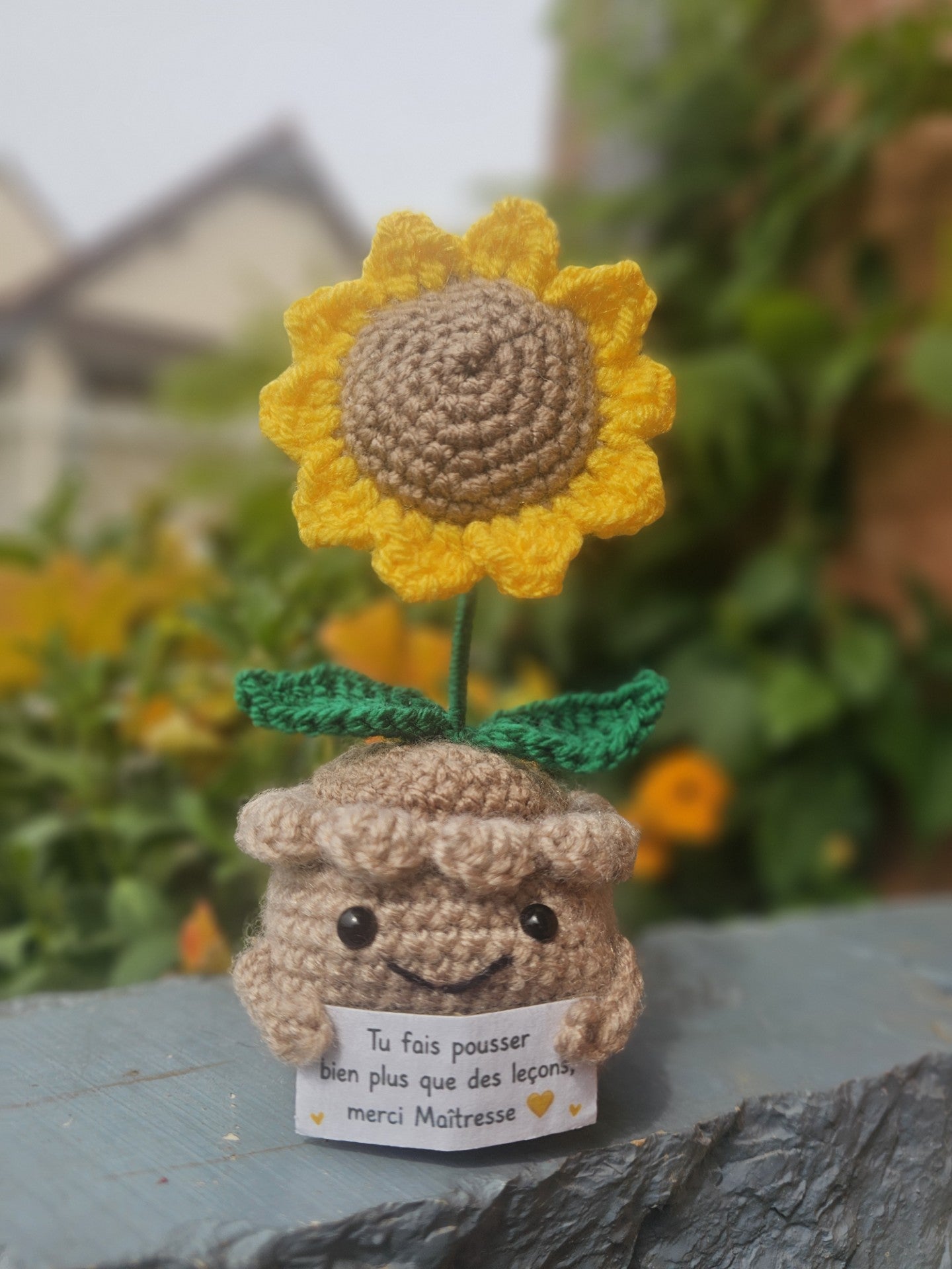 Le Tournesol