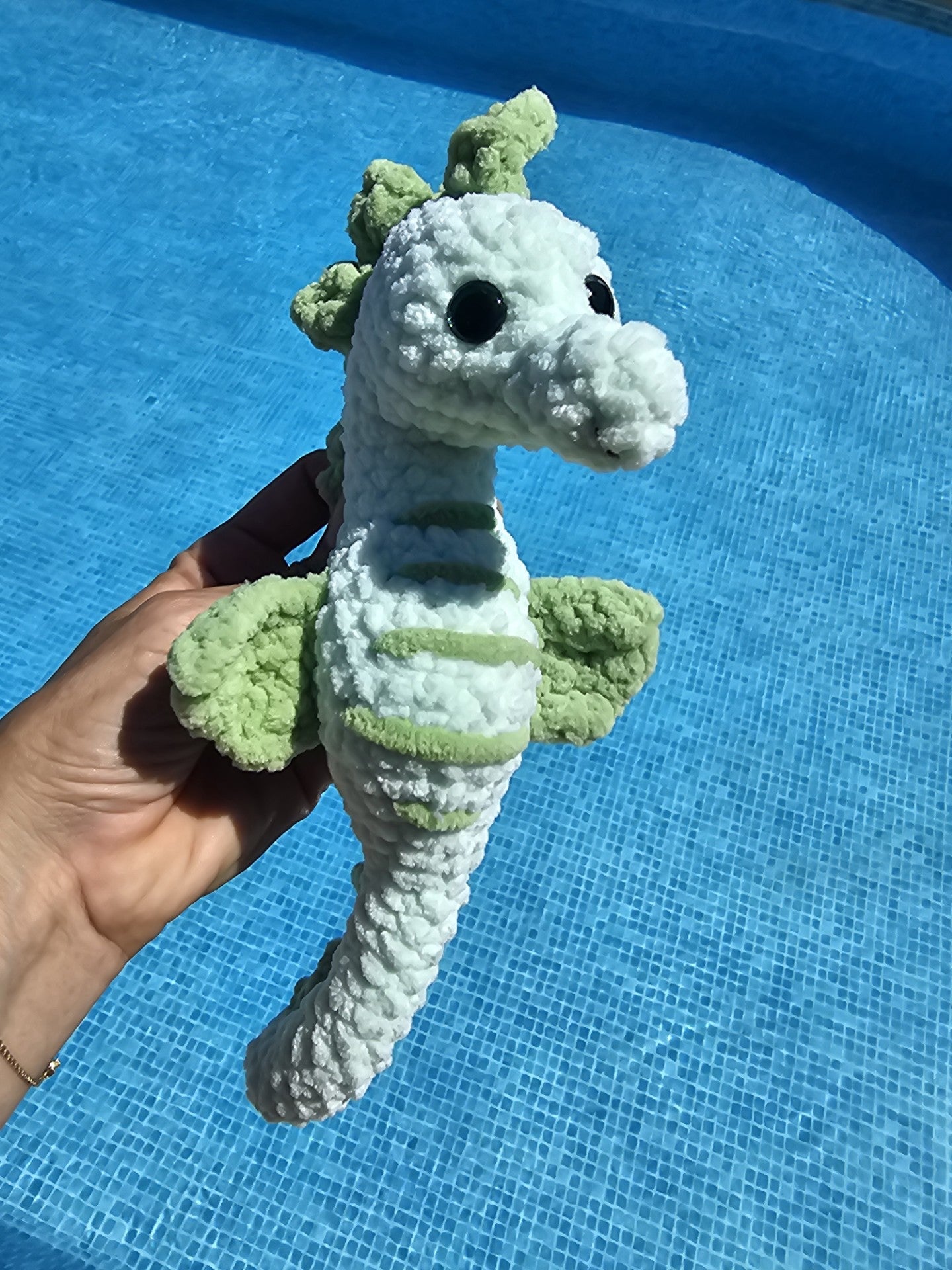 Hippolyte, l'hippocampe