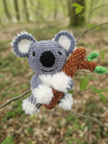 Nicolas le Koala
