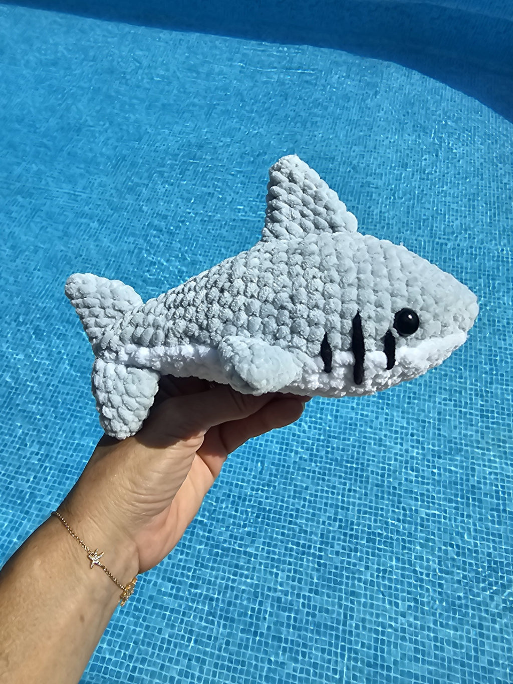 Augustin, le requin