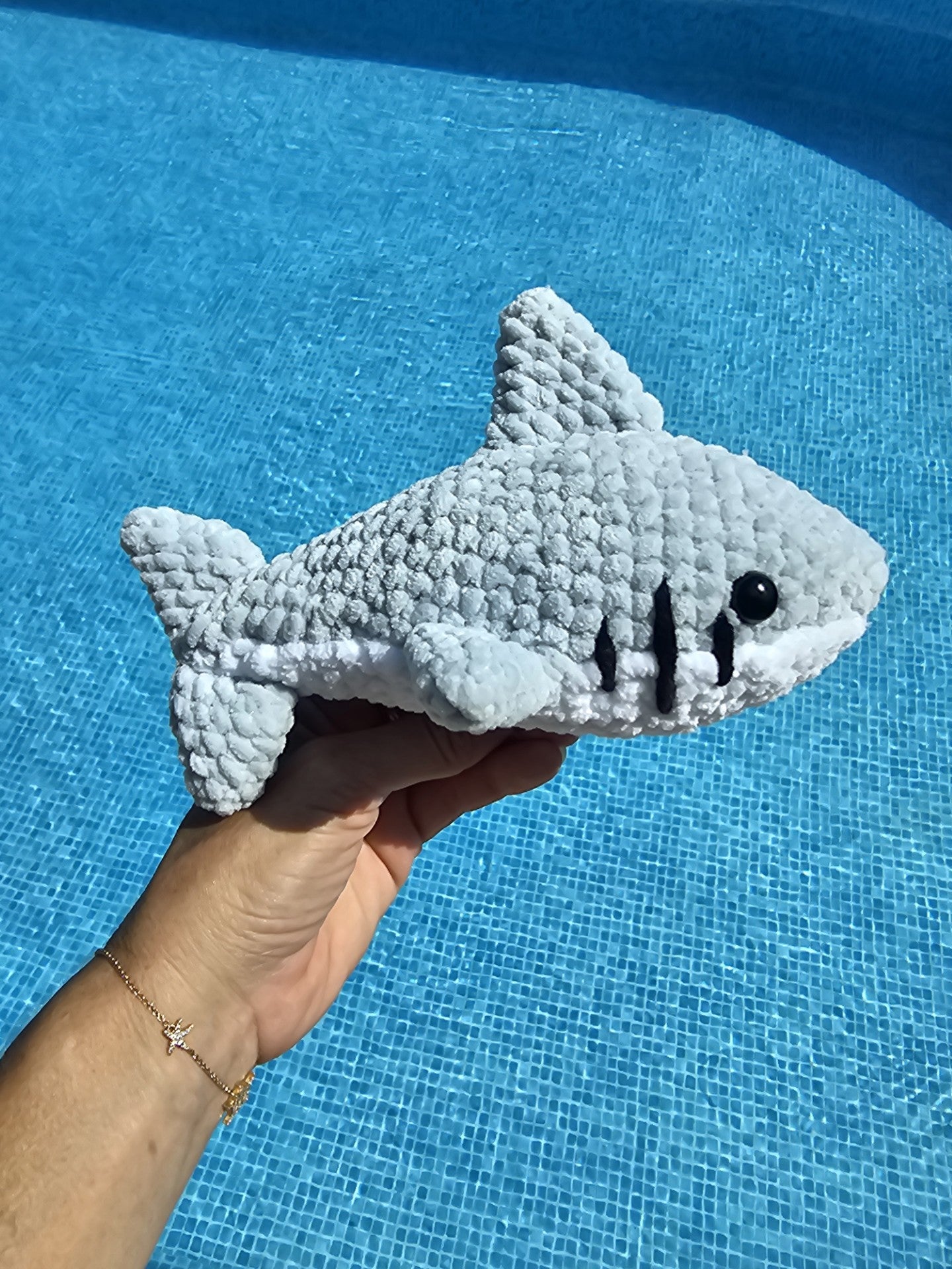 Augustin, le requin
