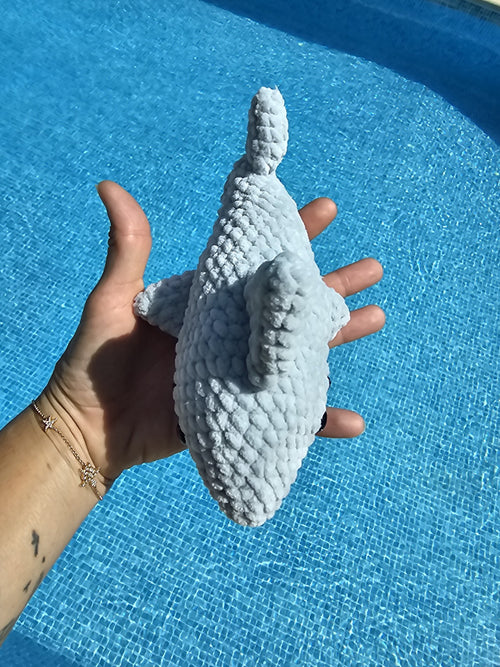 Augustin, le requin