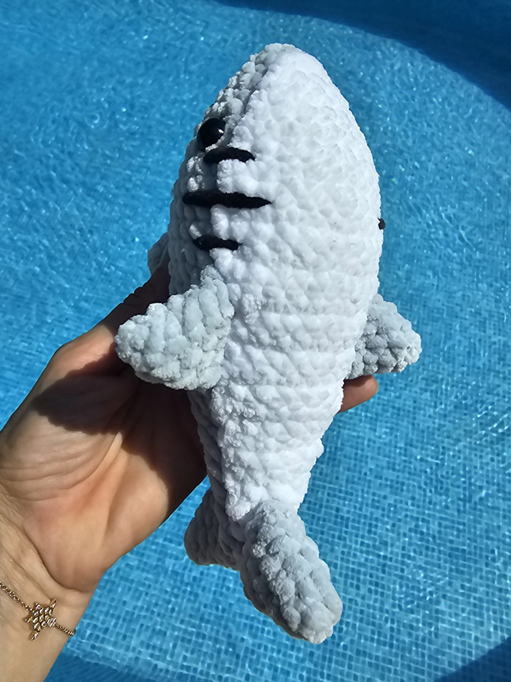 Augustin, le requin