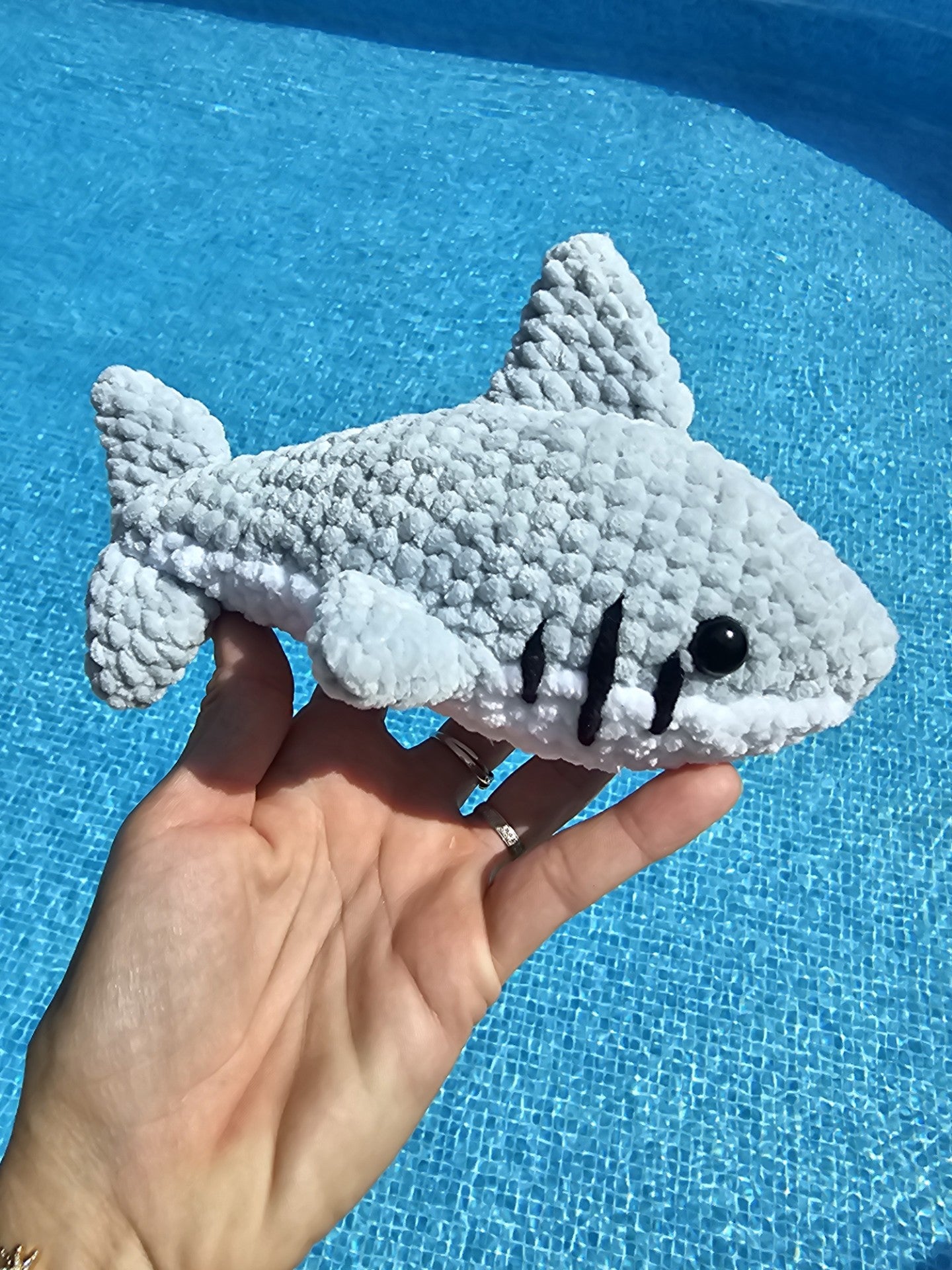 Augustin, le requin