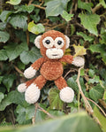 Kiki le petit Singe