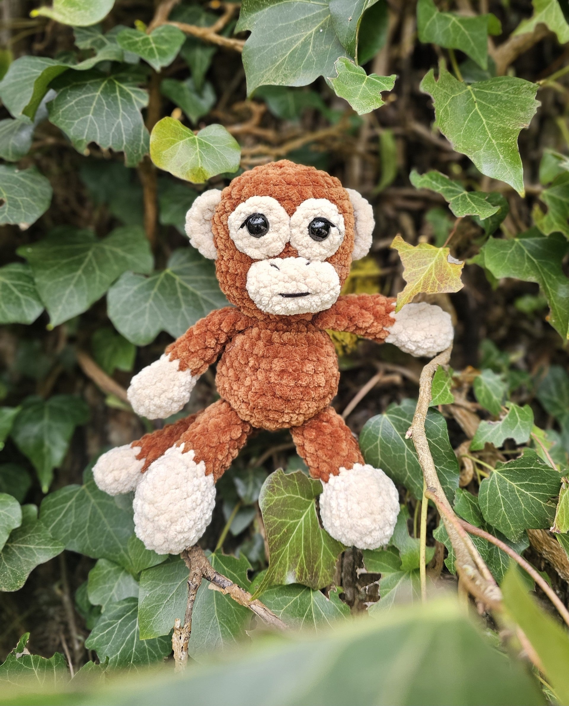 Kiki le petit Singe
